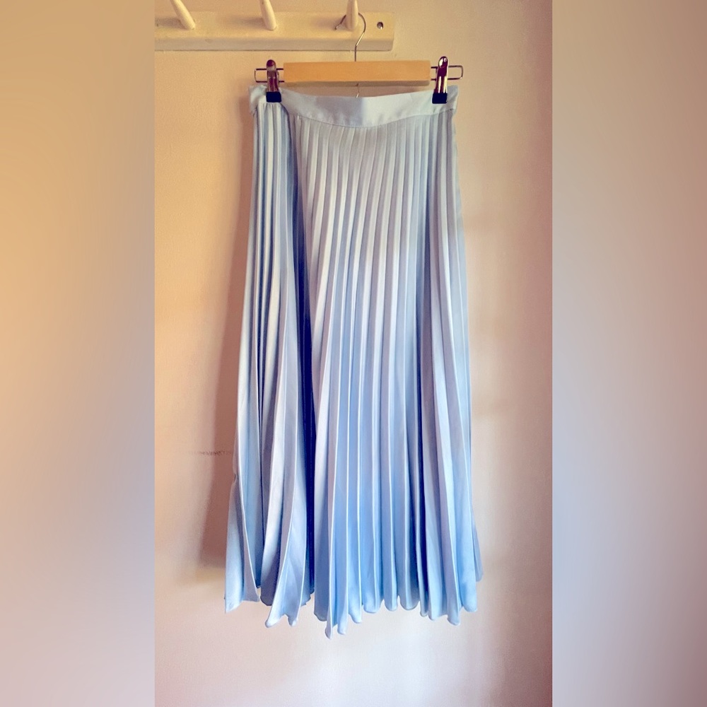 Zara Pleated Skirt